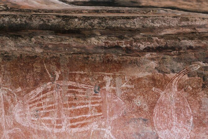 Kakadu National Park Full Day Tour - Sacred Owl Tours - Tour 3A - The Journey into Kakadu: What to Expect