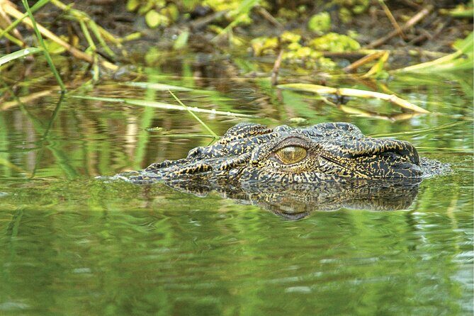 Kakadu National Park Full Day Tour - Sacred Owl Tours - Tour 3A - Who Will Enjoy This Tour?