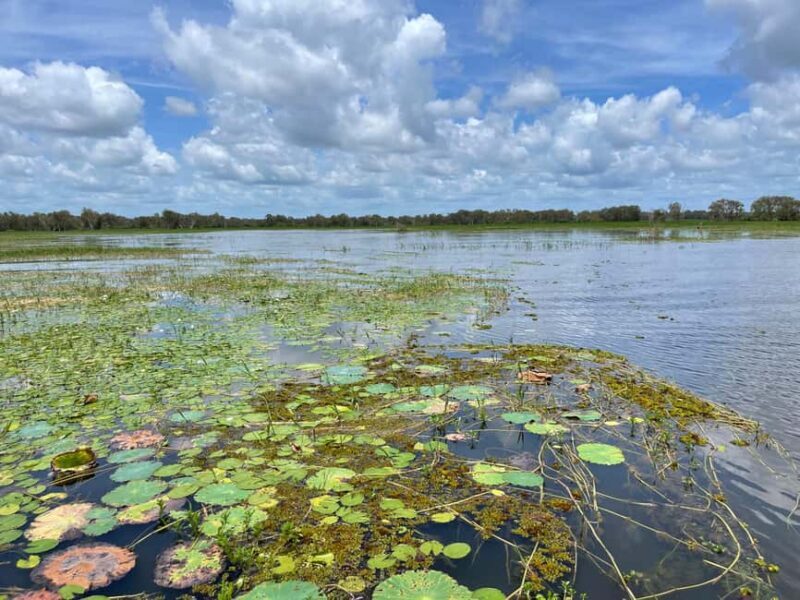 Kakadu VIP Backpackers - A Deep Dive into the Kakadu VIP Backpackers Experience