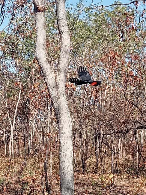Kakadu VIP Backpackers - FAQ