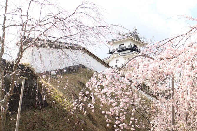 Kakegawa Castle and Sake Tasting Private Tour with Public Train - Price and Value: Is it Worth It?