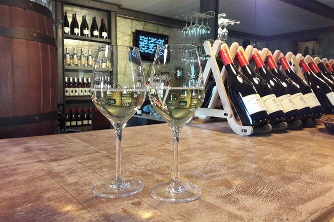 Kakheti.All inclusive Wine tour with family lunch - The Sum Up: Who Should Book This Wine Tour?