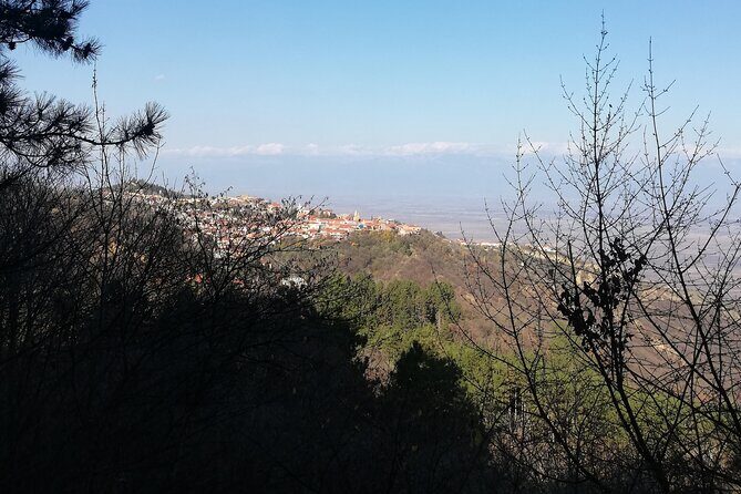 Kakheti Full Day Private Tour - FAQ