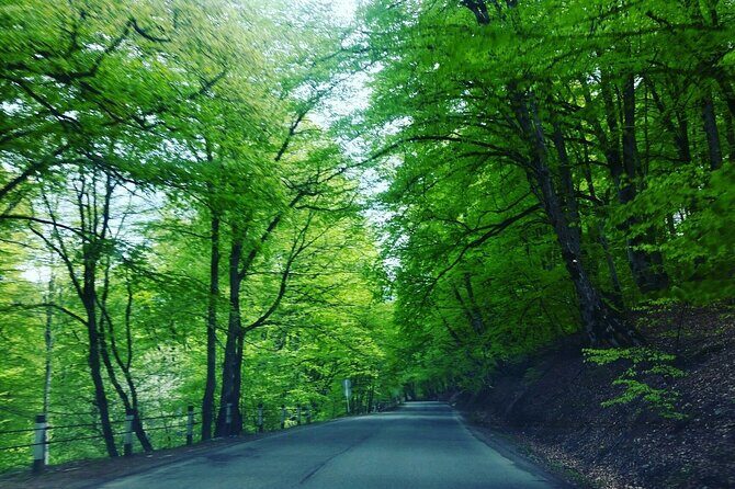 Kakheti Region Khareba Winery Telavi City Gremi Castle Day Tour - Who Is This Tour Best For?