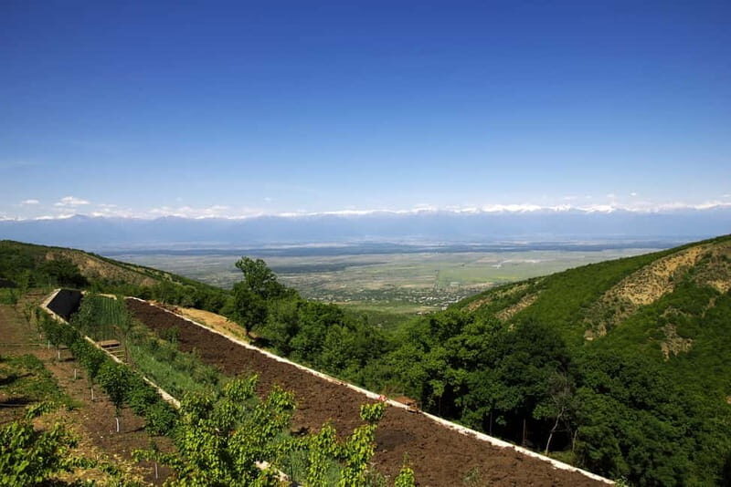 Kakheti & Sighnaghi Private Guided Day Trip with Wine - The Itinerary Breakdown: What to Expect