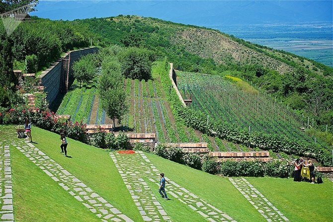 Kakheti: Signagi, Bodbe Monastery, Telavi, Wine Tour. Private tour - The Sum Up