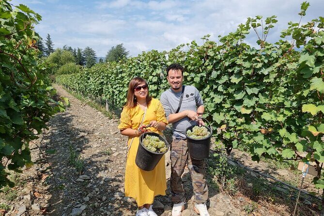 Kakheti - Small wineries and family-cooked lunch  Private tour - Discovering Sighnaghi, the City of Love