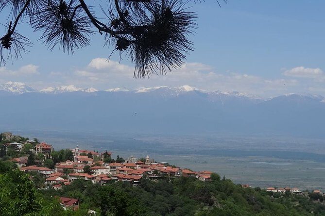Kakheti wine Tour: Telavi-Kvareli-Signagi and Wine cellars - Discover the Heart of Georgia’s Wine Country on a Kakheti Tour