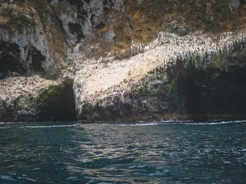 Kalamata: 5H Diros Caves & Limeni Dinner Tour - Practical Tips for Travelers