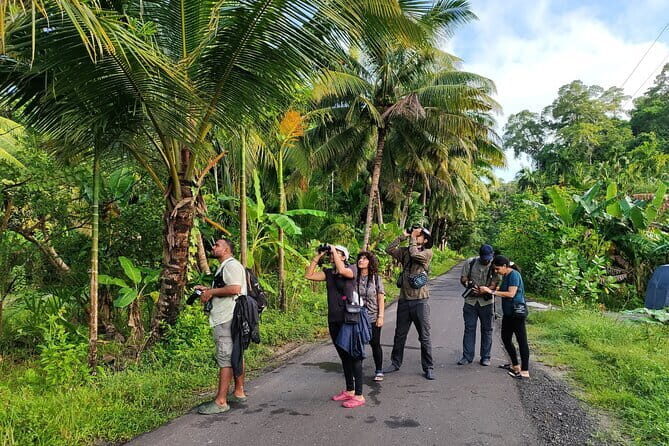 Kalapathar Sunrise, Birdwatching and Village Tour - Key Points