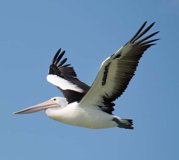 Kalbarri: Murchison River Wilderness Wildlife Cruise - Frequently Asked Questions