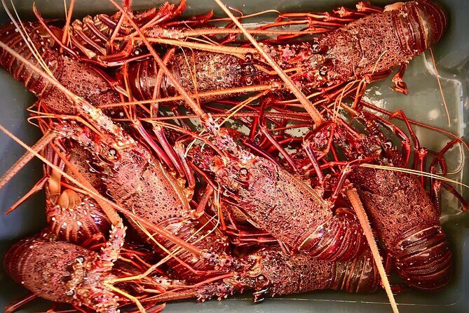 Kalbarri Rock Lobster Pot Pull Tour - What’s Included and How It Works