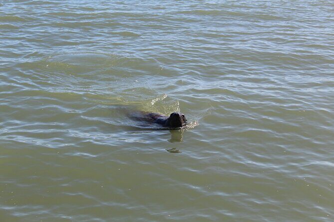Kalbarri Rock Lobster Pot Pull Tour - Taking Home the Catch