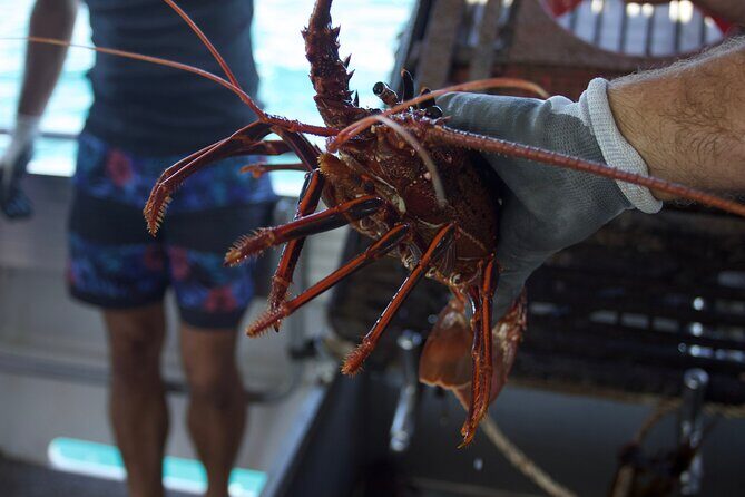 Kalbarri Rock lobster Pot Pull Tour in Kalbarri - Final Words