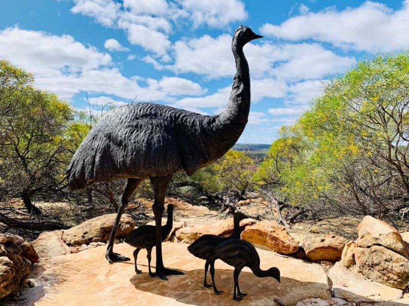 Kalbarri Skywalk Tour - A Deep Dive into the Kalbarri Skywalk Tour