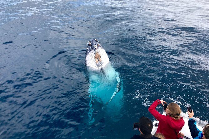 Kalbarri Whale Watching Tour Guided - Final Thoughts