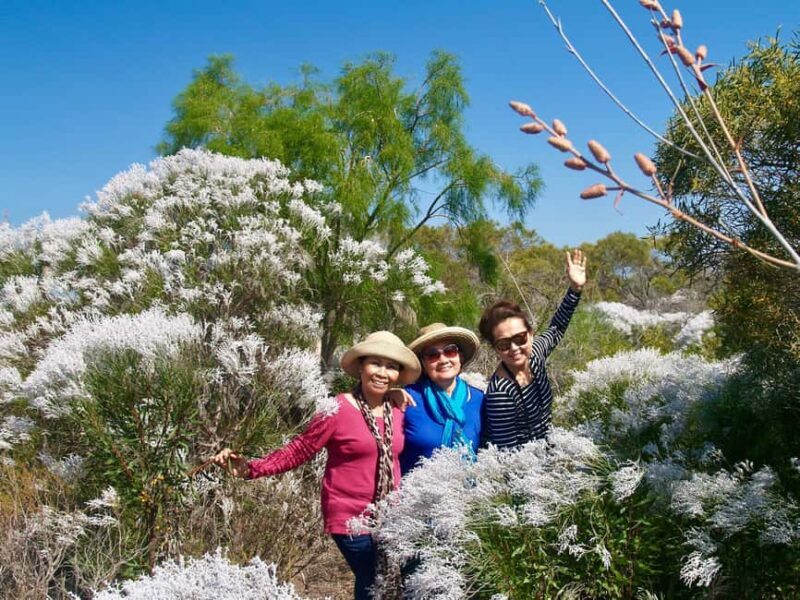 Kalbarri Wildflower Tour with Local Guide - A Closer Look at the Kalbarri Wildflower Tour