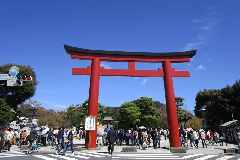 Kamakura 4hr Private Trip with Government-Licensed Guide - What the guide adds