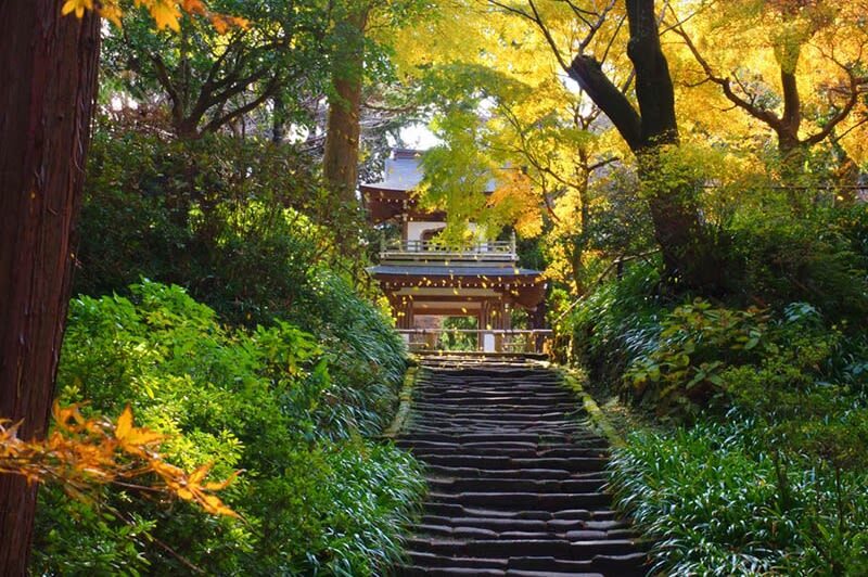 Kamakura 4hr Private Trip with Government-Licensed Guide - Is $236.59 good value?