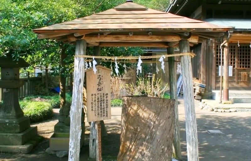 Kamakura All-Access | Gokuraku-ji Temple, Goryo Shrine, and Enoshima Island Day Trip - Enoshima: three and a half hours to make your own