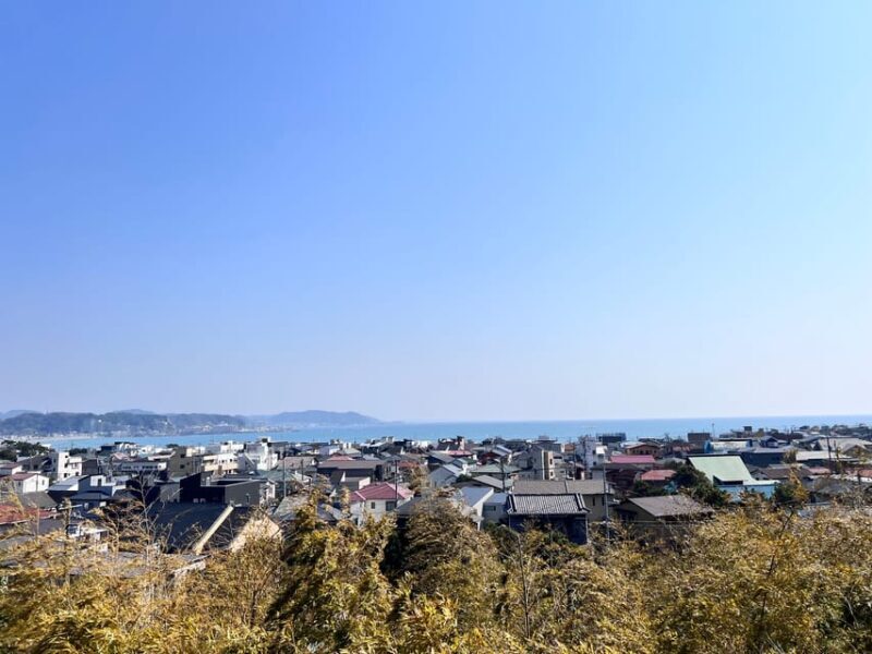 Kamakura and Enoshima: Private Guided Day Tour with Vehicle - Practicalities of the Tour
