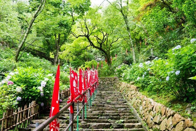 Kamakura and Enoshima Private Tour with English Speaking Driver - Who Will Love This Tour?