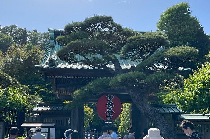 Kamakura and Enoshima walking tour - Final Thoughts: Who Will Love This Tour?