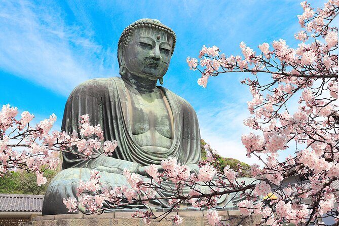 Kamakura Cherry Blossom Full Day Walking Tour with a Local Guide - Key Points