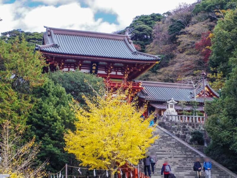 Kamakura: Customized Half-Day Tour with Professional Guide - A Deep Dive into the Kamakura Experience