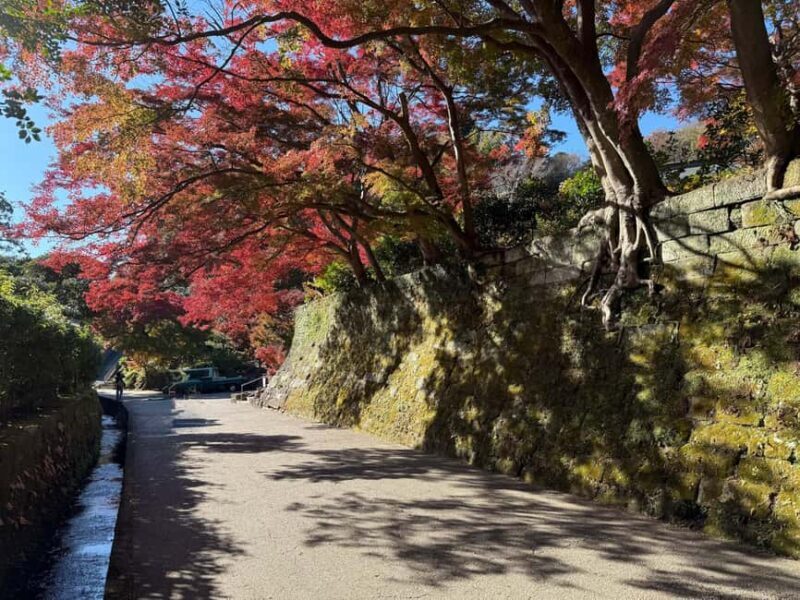 Kamakura: Customized Half-Day Tour with Professional Guide - Final Thoughts