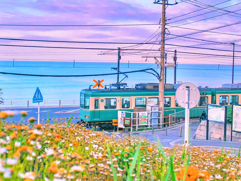 Kamakura Daibutsu & Enoden (free ticket) & Kamakura Koko-mae Station & Shonan Coast & Enoshima & Tsurugaoka Hachimangu Shrine One-Day Tour - At a glance