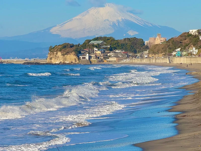Kamakura Daibutsu & Enoden (free ticket) & Kamakura Koko-mae Station & Shonan Coast & Enoshima & Tsurugaoka Hachimangu Shrine One-Day Tour - A full day from Tokyo, with the hard connections handled
