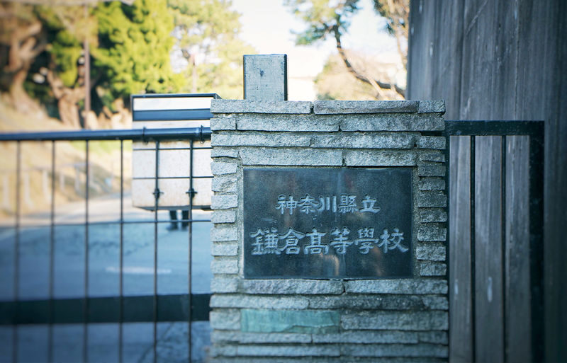 Kamakura Daibutsu & Enoden & Kamakura High School & Enoshima & Tsurugaoka Hachimangu One-Day Tour - Who will enjoy this day most