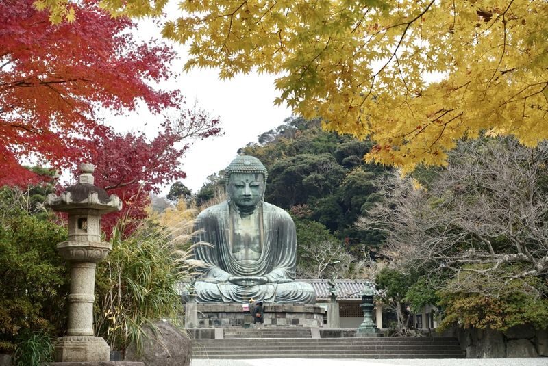 Kamakura Daibutsu Half-Day Private Customizable Tour - The Great Buddha is only the beginning