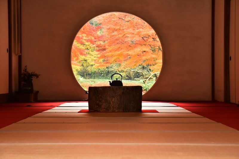 Kamakura Daibutsu Half-Day Private Customizable Tour - A guide who adds context, not just directions