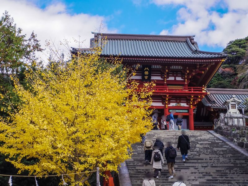Kamakura Daibutsu Half-Day Private Customizable Tour - Customizing the walk without overloading it