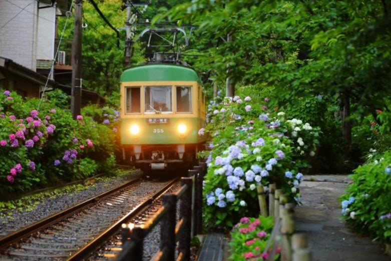 Kamakura Daibutsu Half-Day Private Customizable Tour - Practical details to settle before you go