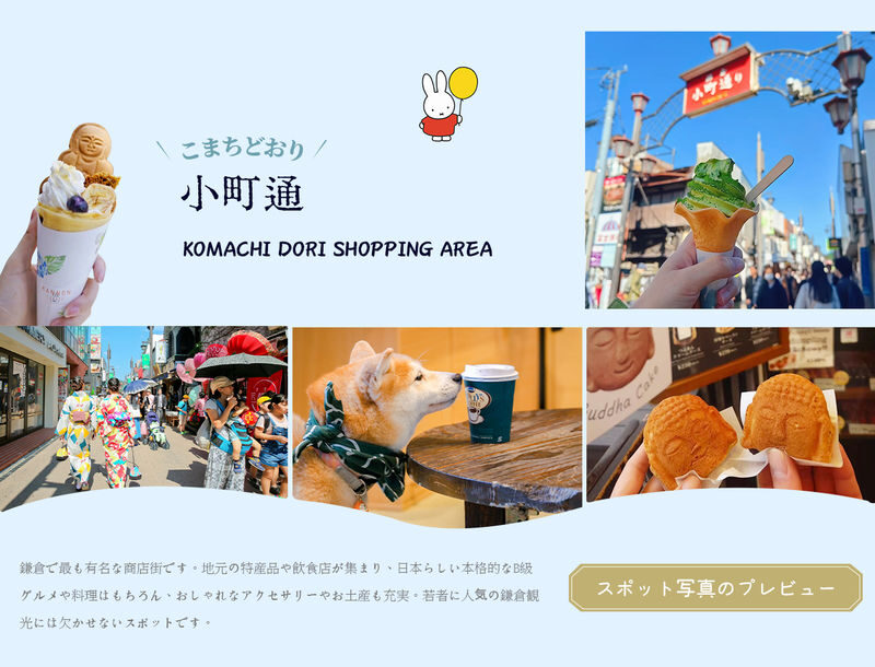 Kamakura Day Trip | Kamakura Great Buddha, Enoden (including train ticket), Shonan Sea View at Kamakura Kokomae Station, Enoshima Walk, Tsurugaoka Hachimangu Shrine (Departure from Tokyo) - Is this Kamakura day trip a good fit?
