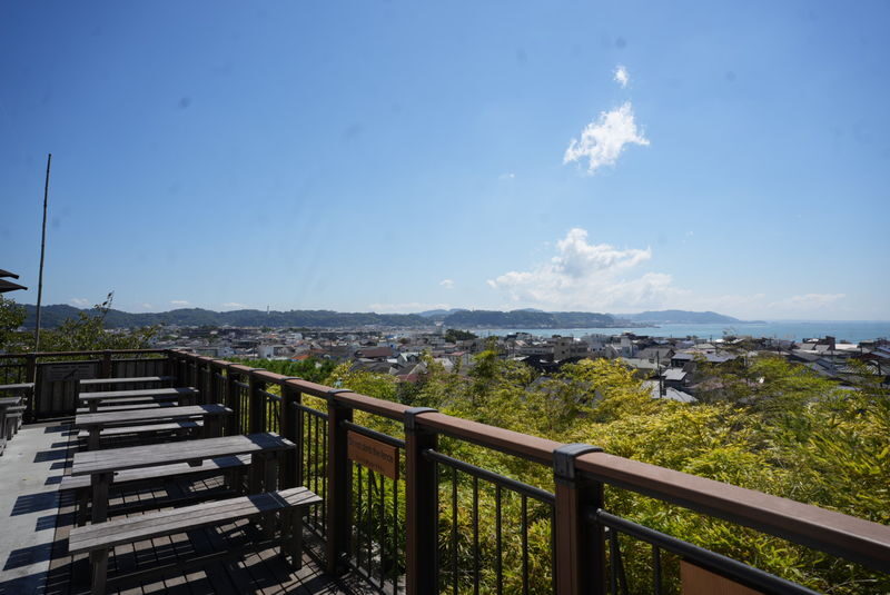 Kamakura Early Bird Morning Tour (Tokyo Departure Option Available) - Hokokuji’s bamboo grove brings a change of pace