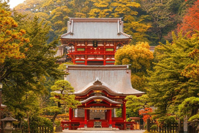 Kamakura & Enoshima Day Trip from Tokyo: Tsurugaoka Hachimangu, Hase-dera, Great Buddha & Mt. Fuji Views - From Tokyo to Kamakura’s shrine district