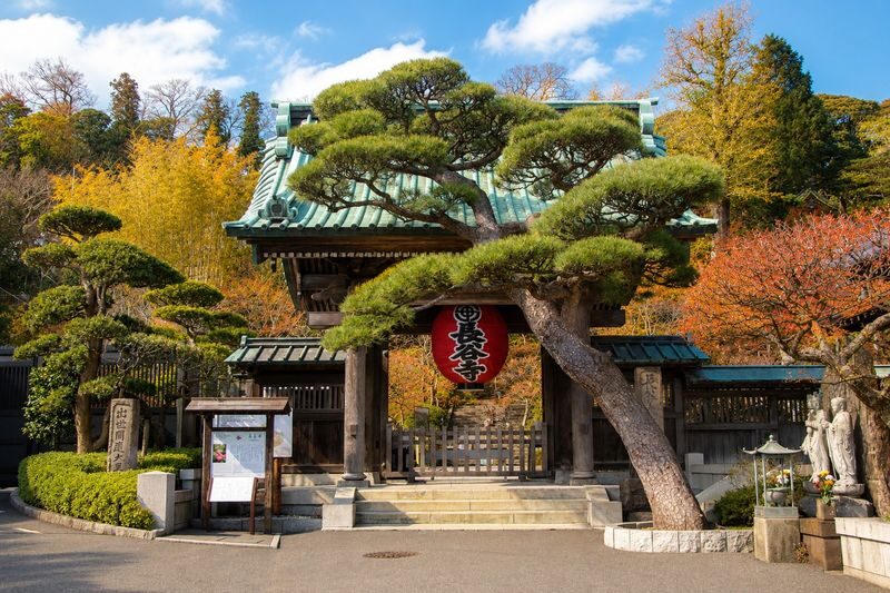 Kamakura & Enoshima Day Trip from Tokyo: Tsurugaoka Hachimangu, Hase-dera, Great Buddha & Mt. Fuji Views - Hase-dera and Kamakura’s Great Buddha