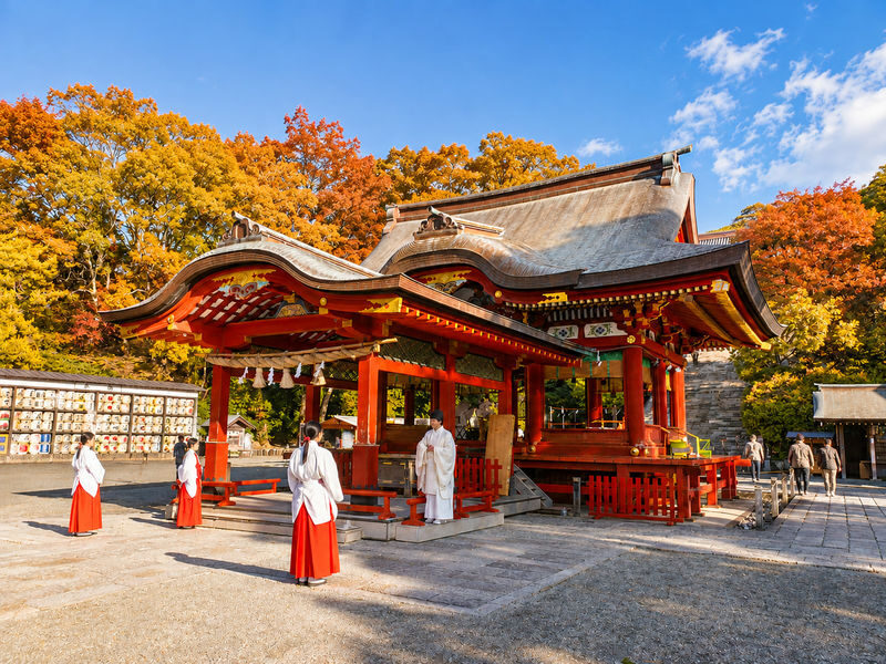 Kamakura & Enoshima Day Trip from Tokyo: Tsurugaoka Hachimangu, Hase-dera, Great Buddha & Mt. Fuji Views - What the price buys you