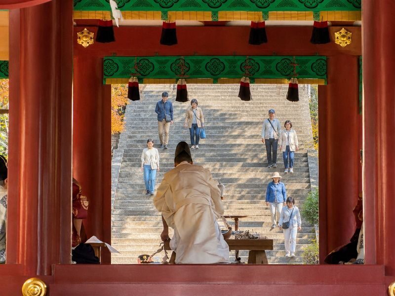 Kamakura & Enoshima Day Trip from Tokyo: Tsurugaoka Hachimangu, Hase-dera, Great Buddha & Mt. Fuji Views - How to get the most from the schedule