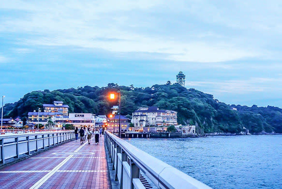 Kamakura Enoshima Full-Day Small Group Anime Pilgrimage Tour - Who will enjoy this tour most?