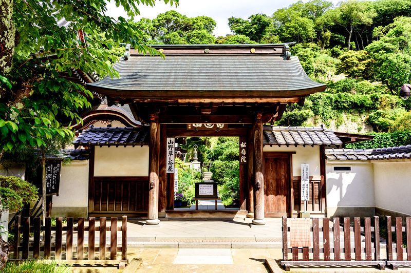 Kamakura & Enoshima Island Full-Day Private Tour - Meeting Kamakura’s Great Buddha at Kotoku-in