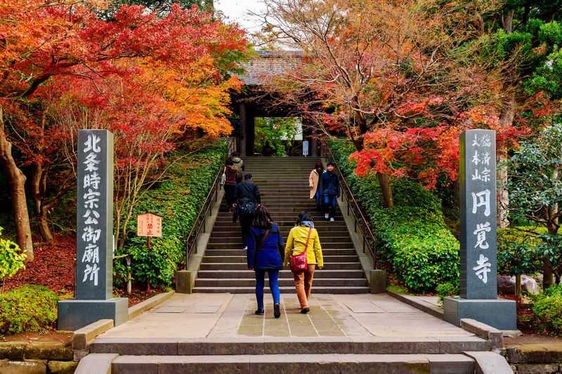 Kamakura & Enoshima Island Full-Day Private Tour - Price, inclusions, and the real value