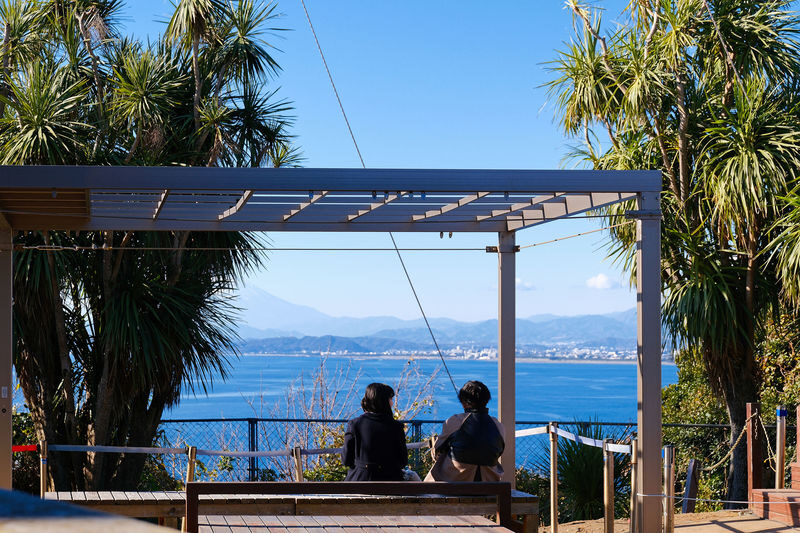 Kamakura, Enoshima & Yokohama Day Trip from Tokyo with Enoden Train - Is the $46.15 starting price good value?
