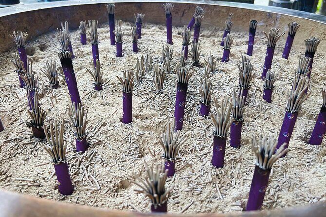 Kamakura, find love and money - Who Will Enjoy This Tour?