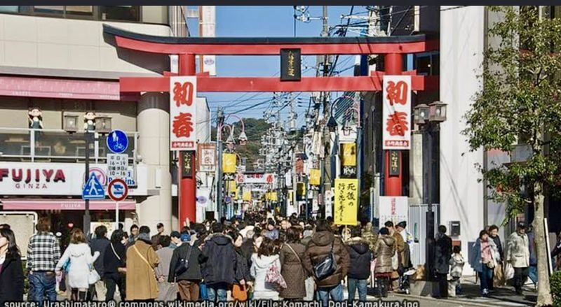 Kamakura Full-Day Private Tour from Tokyo - What the private format may be worth