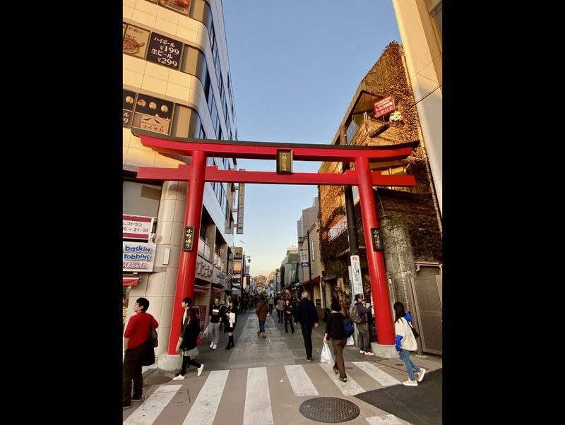 Kamakura Full-Day Private Tour from Tokyo - Who should consider booking